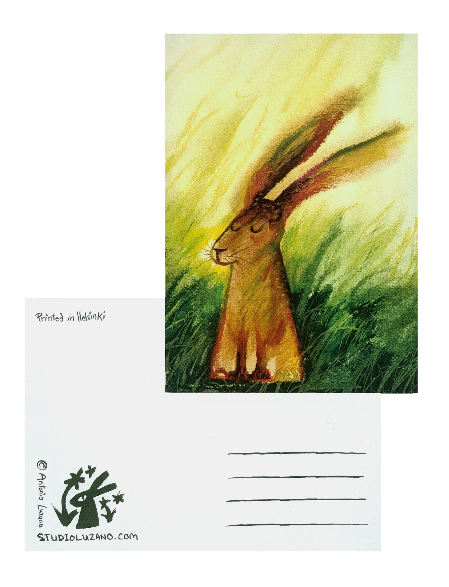 Hare on Grass - A6 Postcard