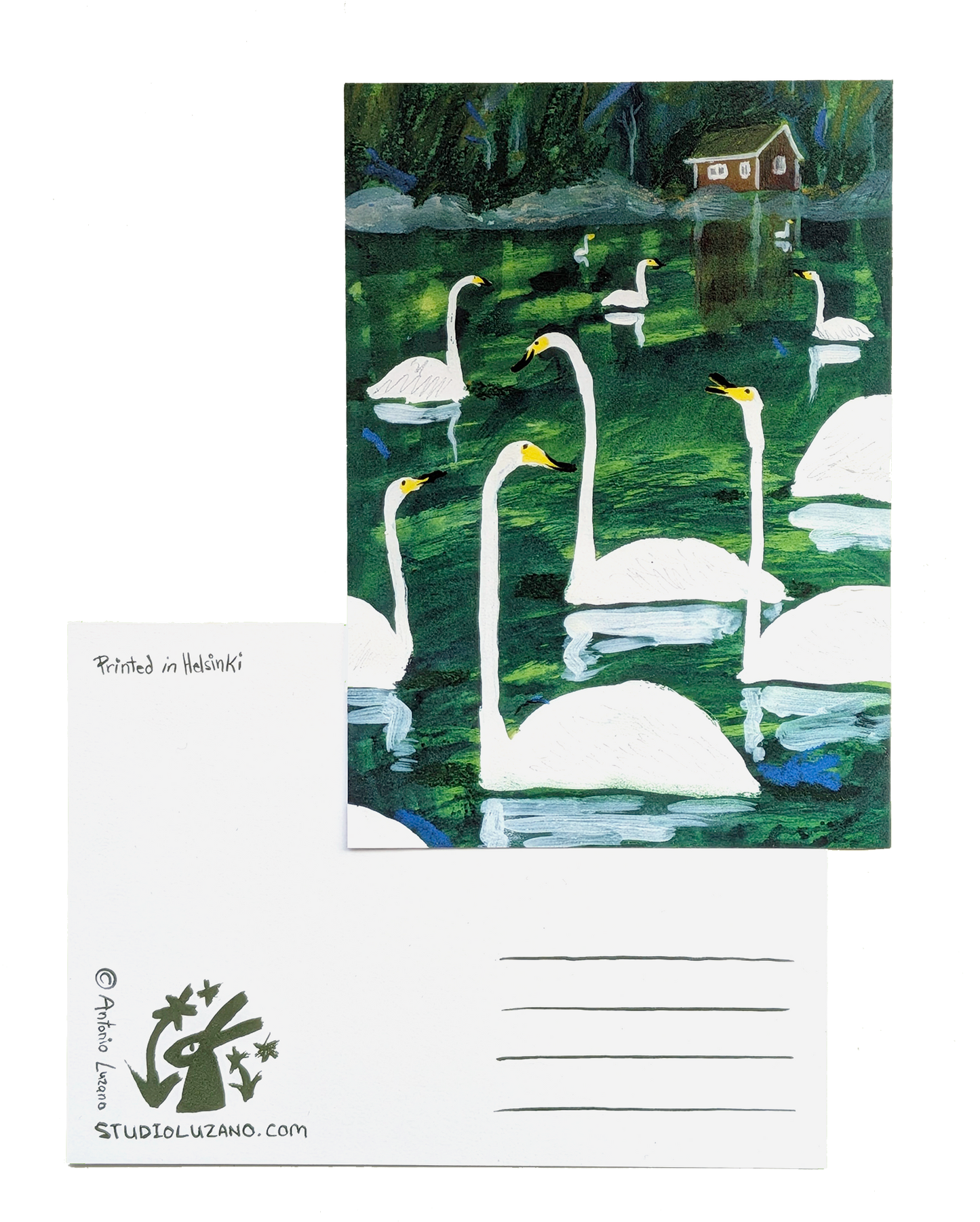 Many Swans - A6 Postcard