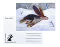 Running Hare - A6 Postcard
