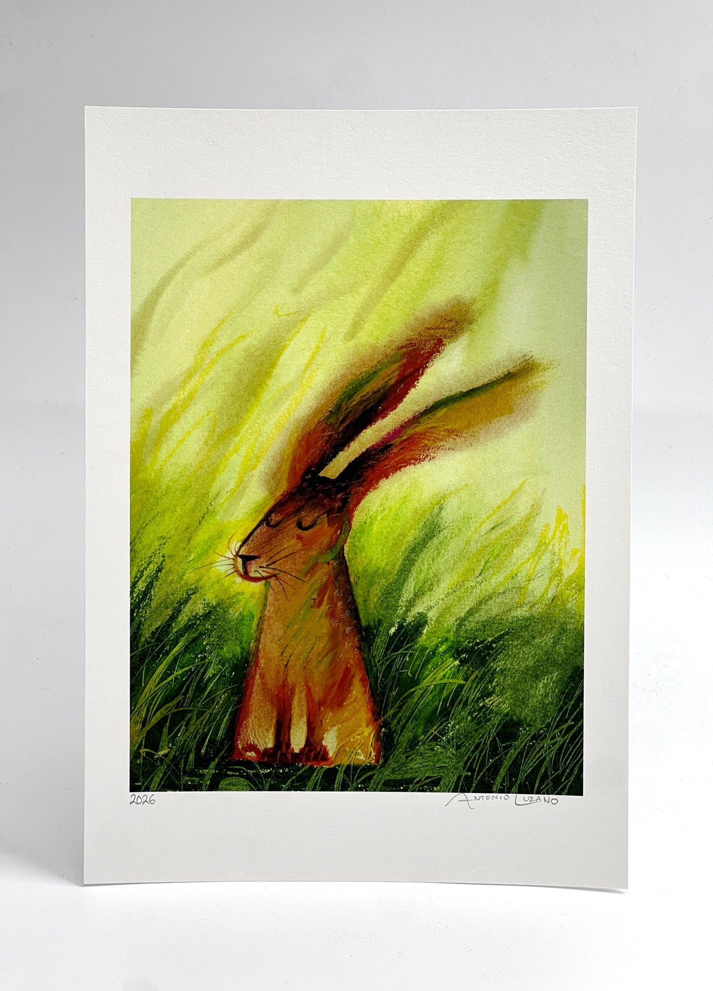 Hare on Grass - A4