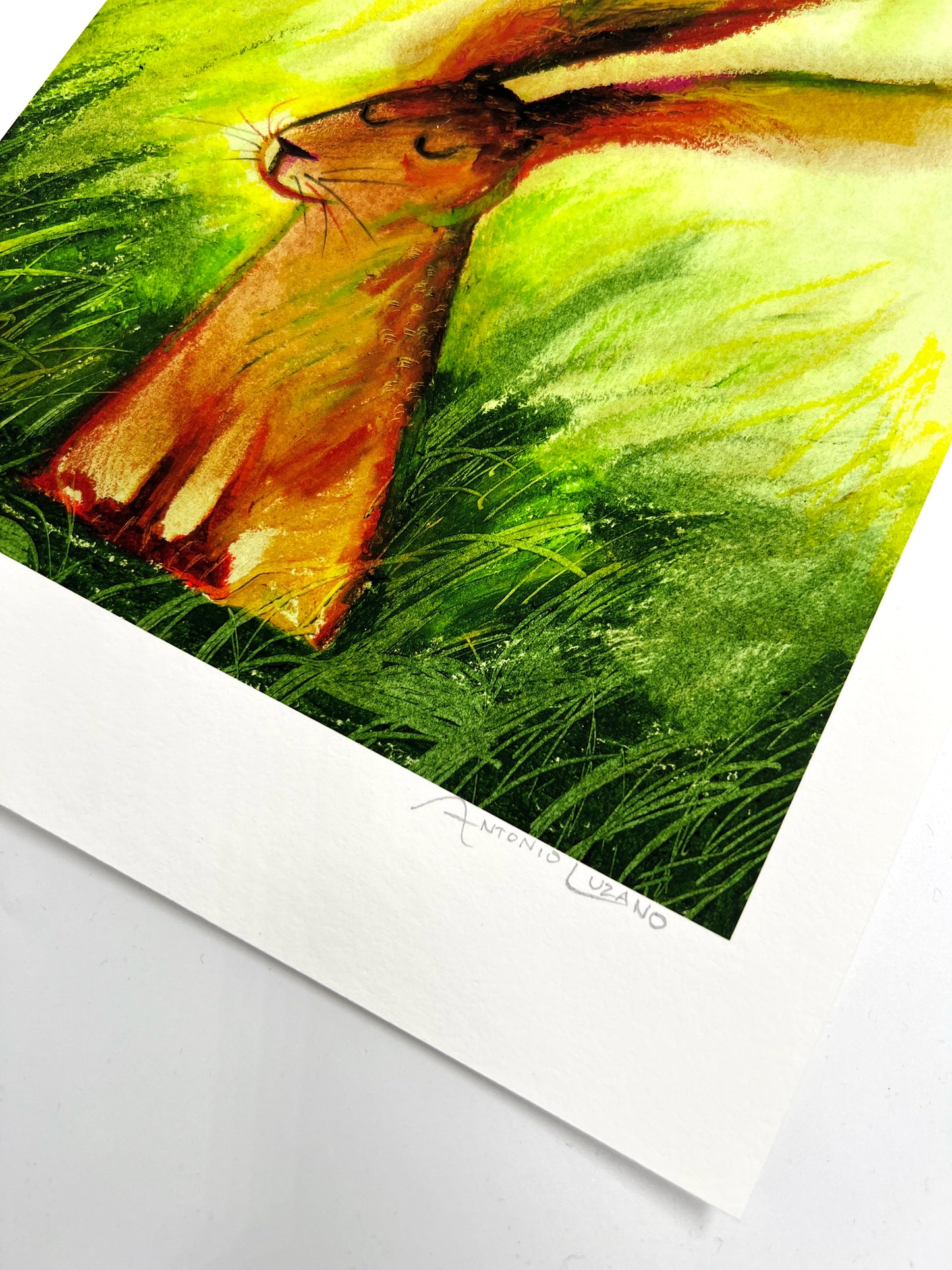 Hare on Grass - A4